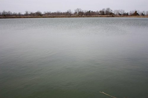 Property photo 11 - ABSOLUTE AUCTION - 298 Acres Offered in 4 Tracts